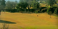 Golf Course